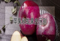 苹果和蛇果的区别？