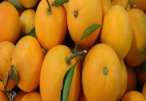 脐橙和血橙的区别？