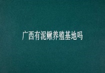 广西有泥鳅养殖基地吗？