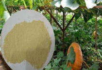 大田作物硼肥施用技术 农作物缺硼的症状