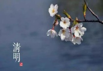 包清明果的草叫什么？