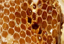 上等蜂蜜主要有哪些品种 蜂蜜的食用禁忌有哪些？