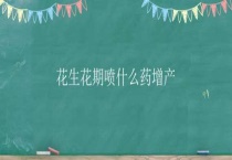 花生花期喷什么药增产