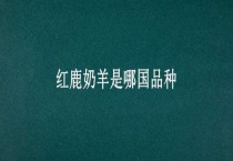 红鹿奶羊是哪国品种