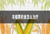 羊瘤胃积食怎么治疗