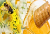 真蜂蜜大概多少钱一斤 附蜜种划分