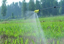 氟吡甲禾灵对哪些草适用 附其使用多久？