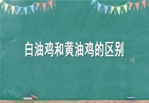白油鸡和黄油鸡的区别？
