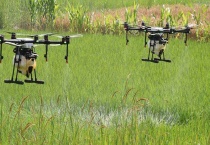 生物农药比传统农药有哪些优势 生物农药与化学农药有着本质的区别？