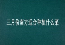 三月份南方适合种植什么菜