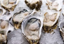 生蚝与牡蛎的区别？