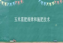 玉米需肥规律和施肥技术