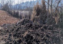 农家肥自然发酵方法 附其正确使用多久？