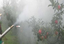 木霉菌有哪些作用和功效 具体怎么防治病害