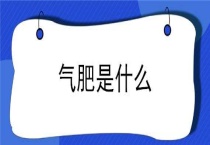 气肥是什么？