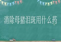消除母猪泪斑用什么药
