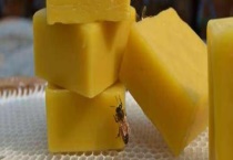 蜂蜡是什么东西制成的 附蜂蜡的主要作用和提炼过程