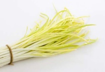 韭黄的介绍 韭黄和蒜黄有哪些方面的区别？