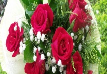 延长玫瑰花保存时间的措施有哪些 具体有哪些小技巧