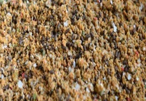 钓鱼用什么味型的饵料 鱼情不同饵料味型也不同