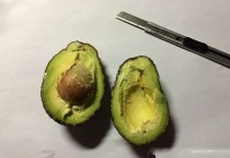 牛油果坏了是什么样