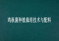 鸡枞菌种植栽培技术与配料