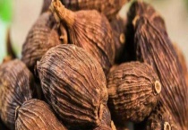 草果是什么？草果的茎、叶、果实是什么样的