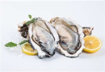 生蚝和扇贝的区别？