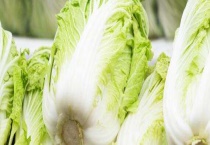 白菜烂根用什么药