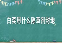 白菜用什么除草剂封地