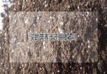 买的营养土还用掺土吗？