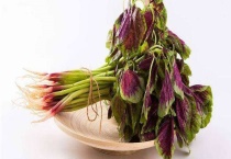 苋菜能生吃吗 为什么不建议生吃