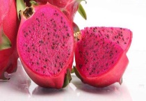 火龙果苗多少钱一棵 火龙果种植几年结果