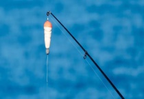 拉饵一般调几钓几目 附基本介绍