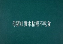 母猪吐黄水粘液不吃食