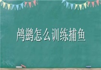鸬鹚怎么训练捕鱼