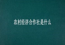 农村经济合作社是什么？