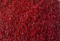 红虫怎么保存？红虫的种类