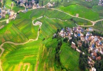 三农问题根本在于什么？