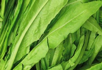 油麦菜和莴笋叶的区别？ 品种、外形、营养和功效均有区别？