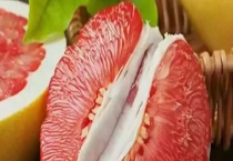 红心柚子怕冻吗？