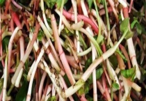 鱼腥草有哪些好吃的做法 哪些人不适合吃鱼腥草