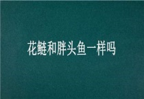 花鲢和胖头鱼一样吗？