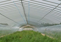 大棚蔬菜冬季浇水注意事项