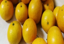 皇帝柑好吃吗？