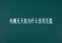 电鳗无天敌为什么没有泛滥