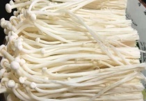 银针菇和金针菇的区别？