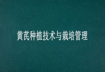 黄芪种植技术与栽培管理