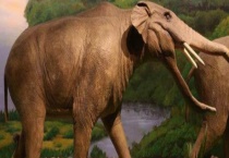 动物灭绝的原因是什么 有哪些动物即将灭绝