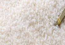 新大米每年的什么时候会下来